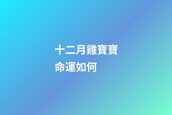 十二月雞寶寶命運如何 (十二月的雞寶寶好嗎)-第1張-觀點-玄機派